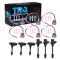 Ignition Coil Set