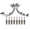 Ignition Kit