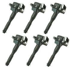 95-03 BMW 3, 5, 7, 8, X, Z Series Plug Mounted Ignition Coil (Delphi) Set of 6