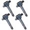 07-12 RDX; 02-06 RSX; 04-08 TSX; 00-11 Honda Mulitifit 2.0, 2.2, 2.3, 2.4 Ign Coil(Set of 4)(Delphi)