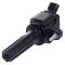 Ignition Coil Set of 6 - Delphi