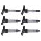 Ignition Coil Set