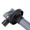 Ignition Coil Set of 8 - Delphi