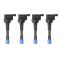 Ignition Coil Set