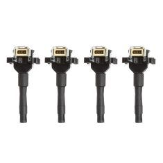 Ignition Coil Set