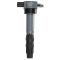 Ignition Coil Set of 6 - Delphi