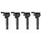 Ignition Coil Set