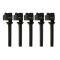 Ignition Coil Set