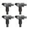 Ignition Coil Set