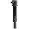 Ignition Coil Set of 6 - Delphi