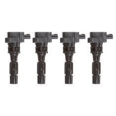 Ignition Coil Set