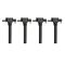 Ignition Coil Set