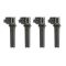 Ignition Coil Set