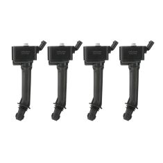 Ignition Coil Set