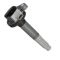 Ignition Coil Set of 8 - Delphi