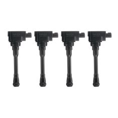 Ignition Coil Set