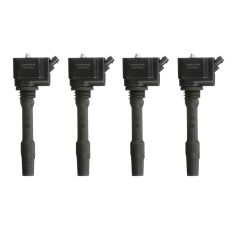 Ignition Coil Set