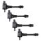 Ignition Coil Set