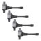 Ignition Coil Set