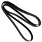 Serpentine Belt