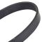 89-15 Multifit Serpentine Belt