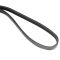 Serpentine Belt