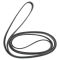 Serpentine Belt