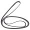 Serpentine Belt