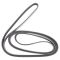 Serpentine Belt