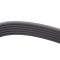 Serpentine Belt