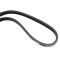 Serpentine Belt