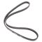 Serpentine Belt