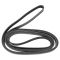 Serpentine Belt