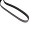 Serpentine Belt