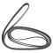 Serpentine Belt