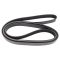 Serpentine Belt