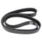 Serpentine Belt