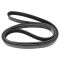 Serpentine Belt