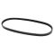 Serpentine Belt