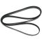 1992-03 Dodge Truck w/AC 3.9L 5.2L 5.9L Serpentine Belt (Gates)