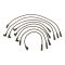 Spark Plug Wire Set - Delphi