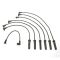 Spark Plug Wire Set - Delphi