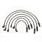 Spark Plug Wire Set - Delphi