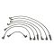 Spark Plug Wire Set - Delphi