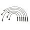 Spark Plug Wire Set - Delphi