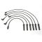 Spark Plug Wire Set - Delphi