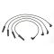 Spark Plug Wire Set - Delphi