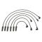 Spark Plug Wire Set - Delphi