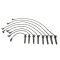 Spark Plug Wire Set - Delphi