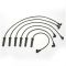 Spark Plug Wire Set - Delphi